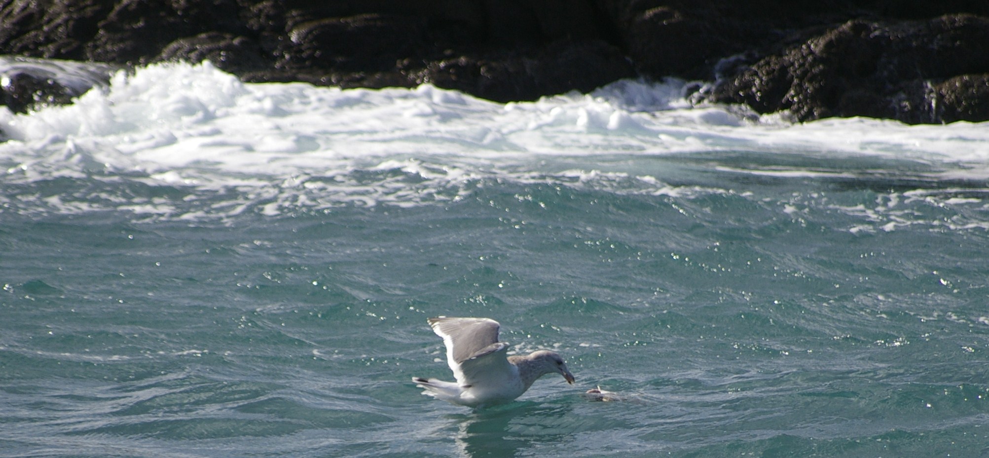 e0197884_22304823.jpg