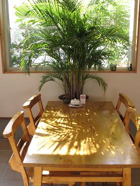 e0130185_1392114.jpg
