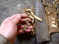 e0150087_2124332.jpg