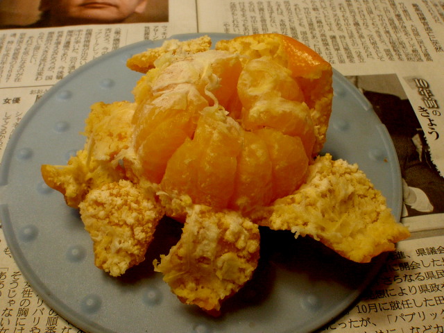a0007388_10522116.jpg