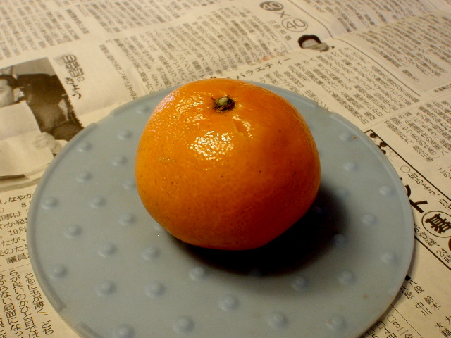 a0007388_1052780.jpg