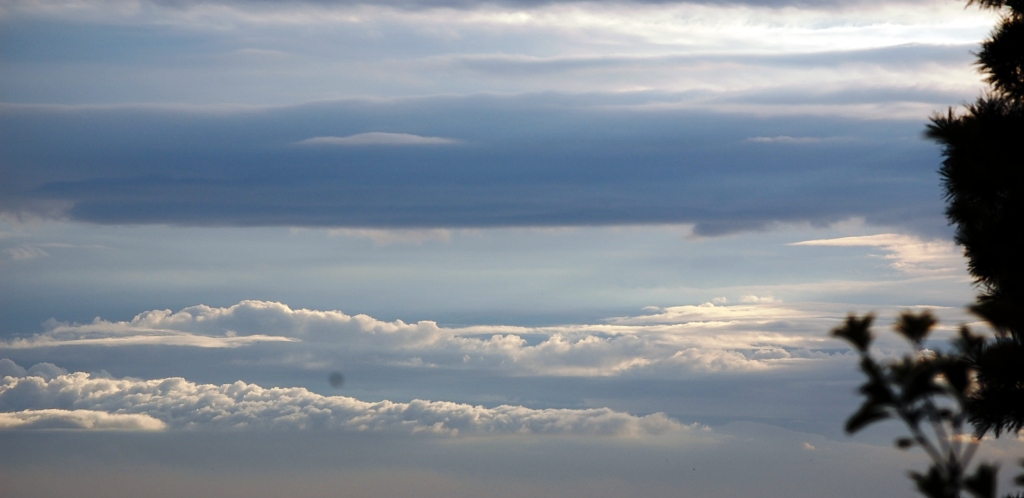 b0054391_6122968.jpg