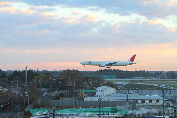 e0204891_1238577.jpg