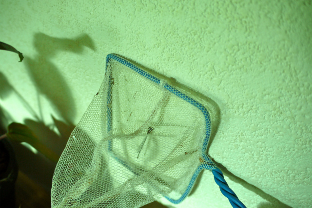 c0225297_3131867.jpg
