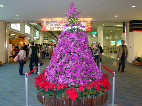 a0047200_9175529.jpg