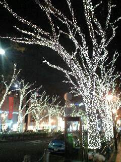 e0207701_18364491.jpg