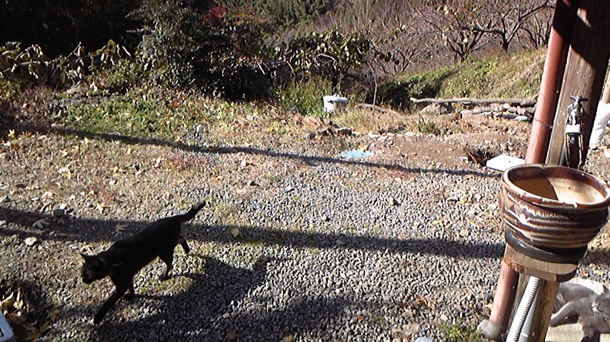 e0197602_1543882.jpg