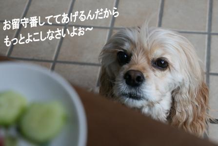 c0128303_11394231.jpg
