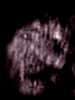 e0103408_13433542.gif
