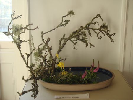 e0114020_5132326.jpg