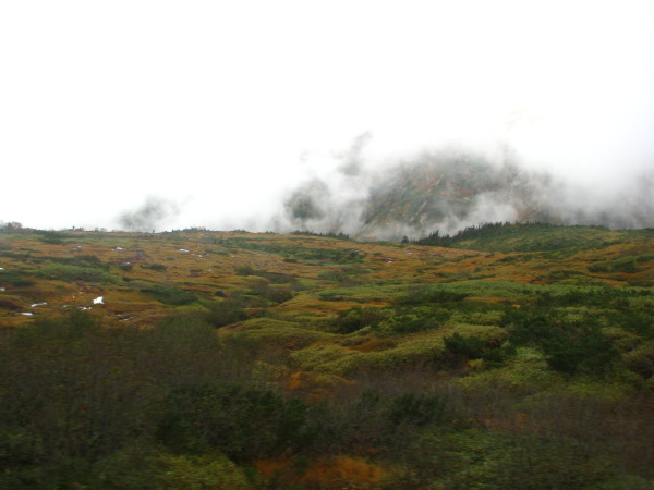 c0166521_19132224.jpg