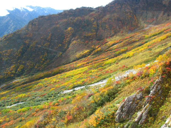 c0166521_19225545.jpg