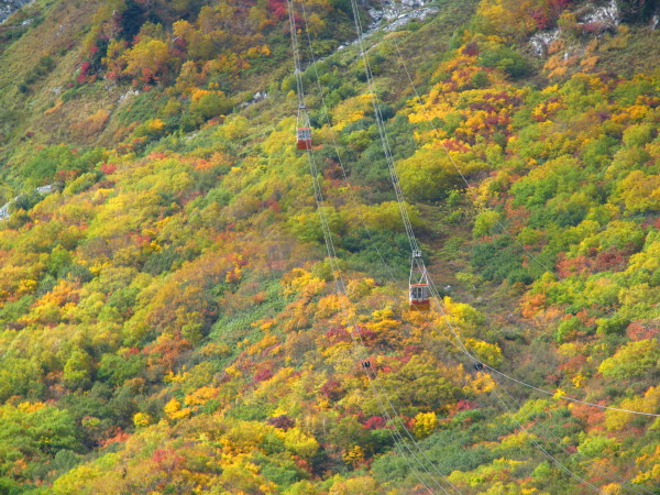 c0166521_19431133.jpg