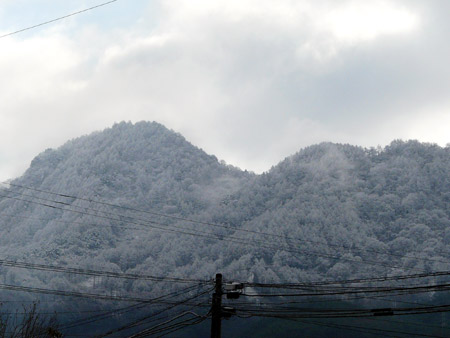 d0066822_137323.jpg