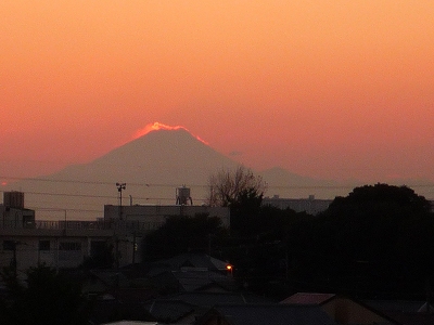 b0028524_142055.jpg