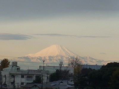 b0028524_1422836.jpg