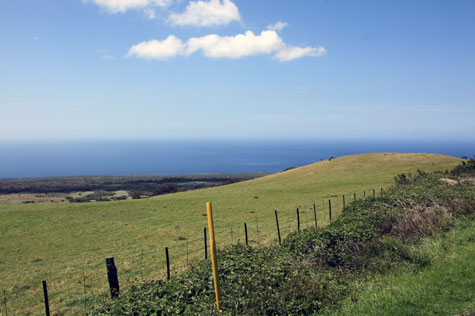 f0137324_2138221.jpg