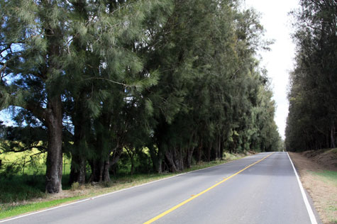 f0137324_21392893.jpg