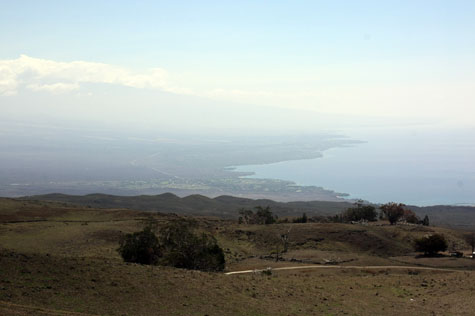 f0137324_21395031.jpg