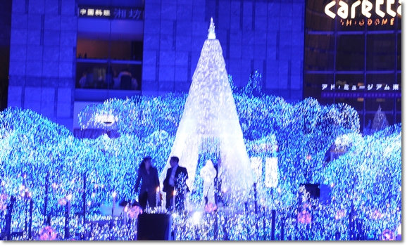 d0082628_705112.jpg