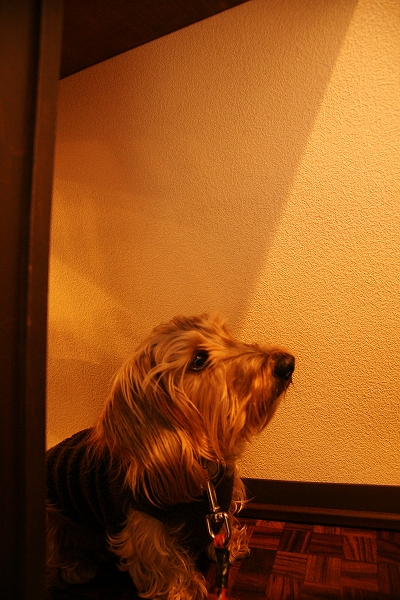 f0046128_7573947.jpg