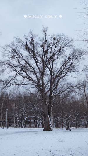 f0227228_1663334.jpg