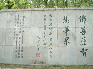 d0079830_10591783.jpg