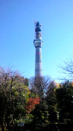 f0186330_14144741.jpg