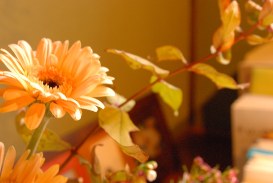 f0238332_1455042.jpg
