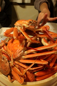 b0074640_032283.jpg
