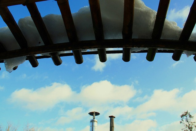 c0153740_3511016.jpg