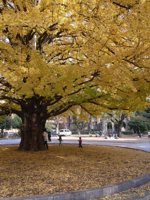 a0087341_2236428.jpg