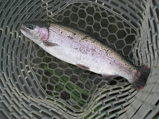 f0065341_2105573.jpg