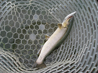 f0065341_2135433.jpg