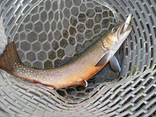 f0065341_213954.jpg