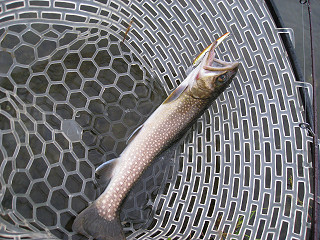 f0065341_2165615.jpg