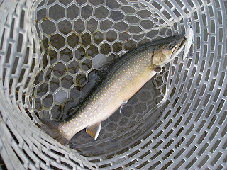 f0065341_2172682.jpg
