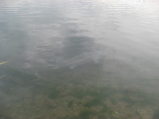 f0065341_2181857.jpg