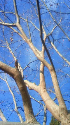b0132746_15593855.jpg