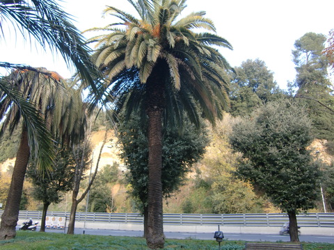 c0206352_641549.jpg