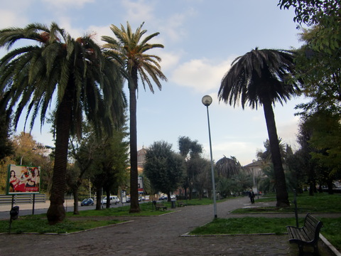 c0206352_6431229.jpg