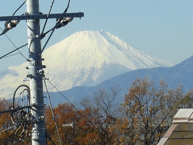 c0169360_16284396.jpg
