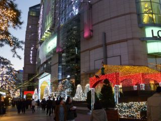 d0168471_1644327.jpg