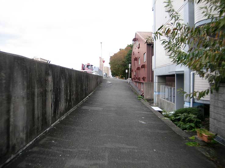 b0057679_8325994.jpg