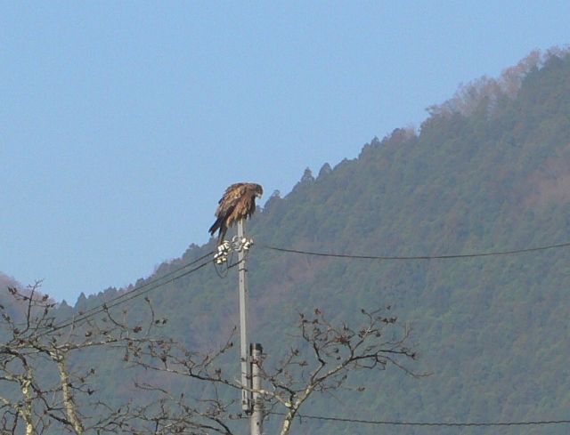 b0042882_21332384.jpg