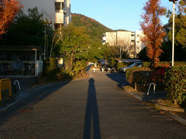b0042882_22221866.jpg