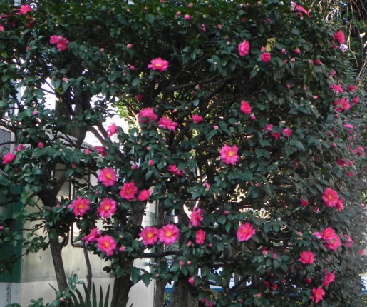 c0144185_22295523.jpg