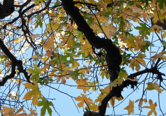 c0144185_22393523.jpg