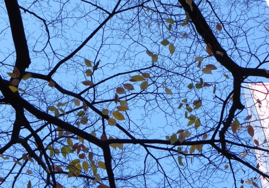 c0144185_22434674.jpg