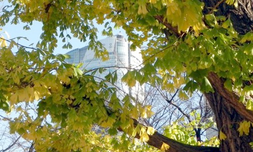 c0144185_22571334.jpg